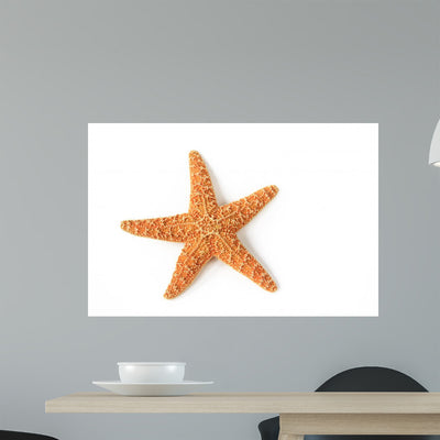 Starfish Asterias Rubens shown on a wall