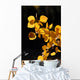Branch of Yellow Aspen Leaves Wall Mural