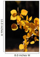 Branch of Yellow Aspen Leaves Wall Mural