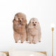 Two Poodles Wall Decal
