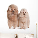 Two Poodles Wall Decal