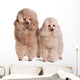 Two Poodles Wall Decal