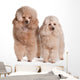Two Poodles Wall Decal