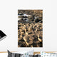 Giant's Causeway Wall Decal