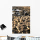 Giant's Causeway Wall Decal