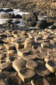 Giant's Causeway Wall Decal