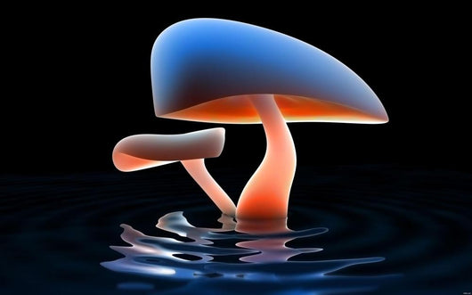 Mushroom River Wall Mural