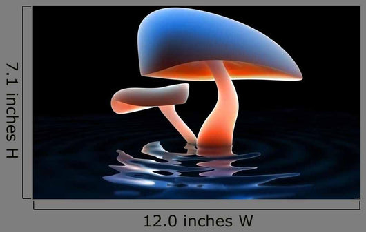 Mushroom River Wall Mural