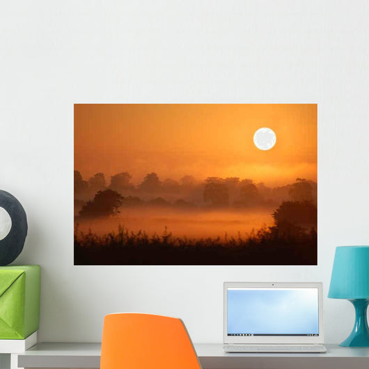 Misty Morning Wall Decal