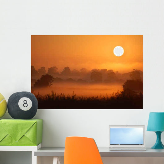 Misty Morning Wall Decal