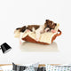 Beautiful Little Puppy Sleeping Wall Decal