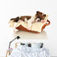 Beautiful Little Puppy Sleeping Wall Decal