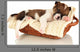 Beautiful Little Puppy Sleeping Wall Decal