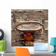 Old Basketball Hoop Wall Mural