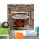 Old Basketball Hoop Wall Mural
