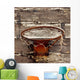 Old Basketball Hoop Wall Mural