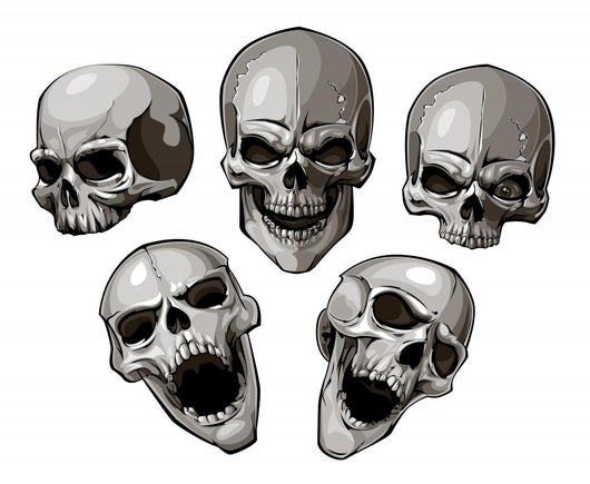 Set Skulls Wall Decal Sticker Set