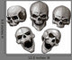 Set Skulls Wall Decal Sticker Set