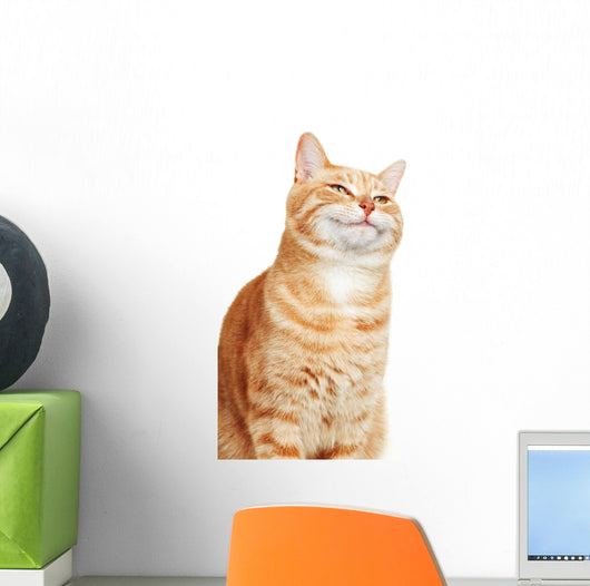 Cat portrait. Wall Decal