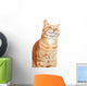 Cat portrait. Wall Decal