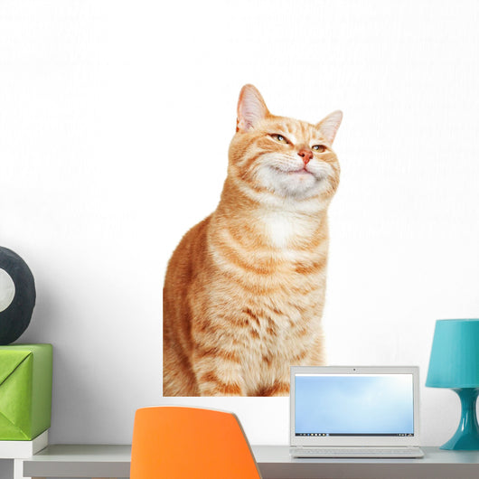 Cat portrait. Wall Decal