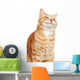 Cat portrait. Wall Decal