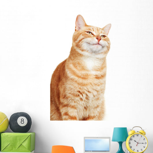 Cat portrait. Wall Decal