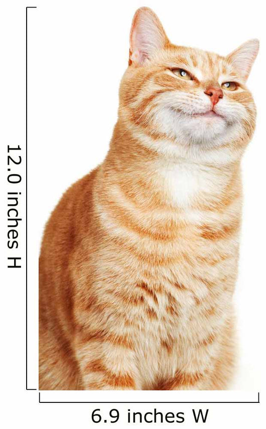 Cat portrait. Wall Decal