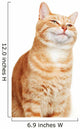 Cat portrait. Wall Decal