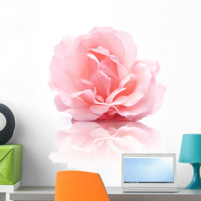 Pink Rose Flower Wall Decal shown on a wall
