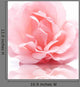 Pink Rose Flower Wall Decal