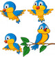 Bird cartoon Wall Decal