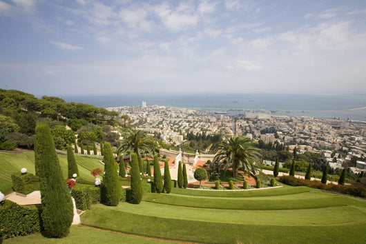 View of Haifa From Bahaii Gardens Wall Mural