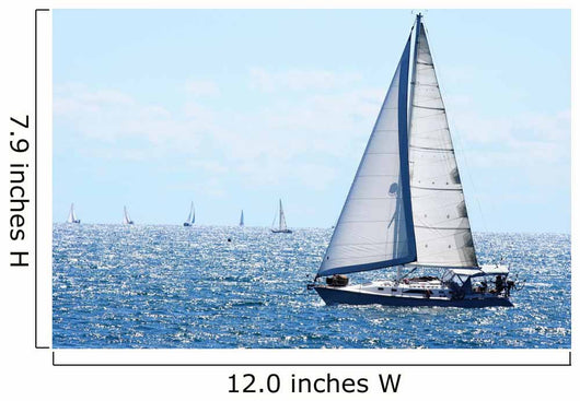 Sail boat Wall Mural
