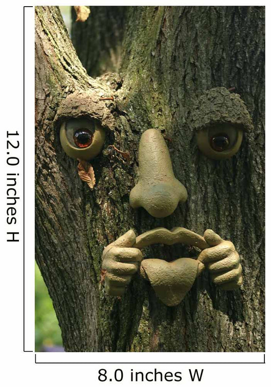 Tree Face