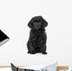 Toy Poodle Puppy Wall Decal