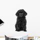 Toy Poodle Puppy Wall Decal