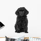 Toy Poodle Puppy Wall Decal