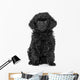 Toy Poodle Puppy Wall Decal