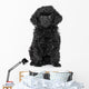Toy Poodle Puppy Wall Decal