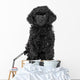 Toy Poodle Puppy Wall Decal