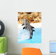 Dolphin Display Wall Mural