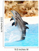 Dolphin Display Wall Mural