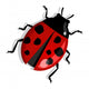 Red Ladybug Wall Decal