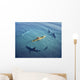 Surrounded Sharks Wall Decal
