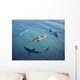 Surrounded Sharks Wall Decal