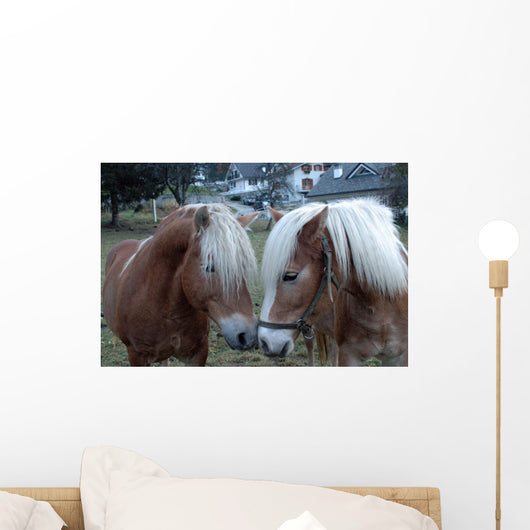 Meeting Wall Mural
