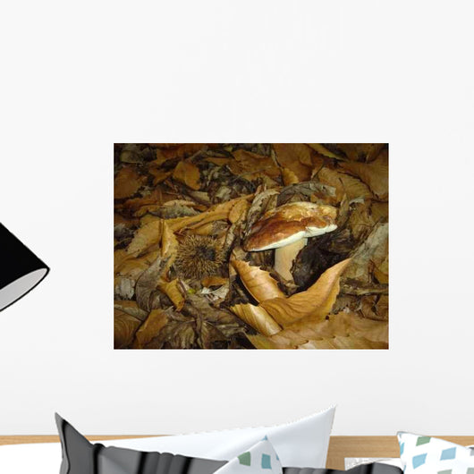 Porcini and Chestnut Wall Decal
