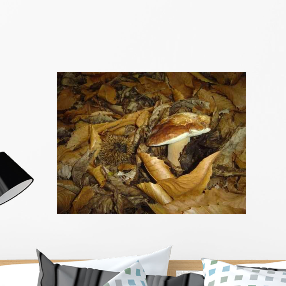 Porcini and Chestnut Wall Decal - WallMonkeys.com – Wallmonkeys