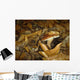 Porcini and Chestnut Wall Decal